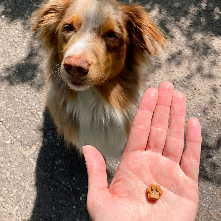 Collory Backmatten für Katzenleckerlis