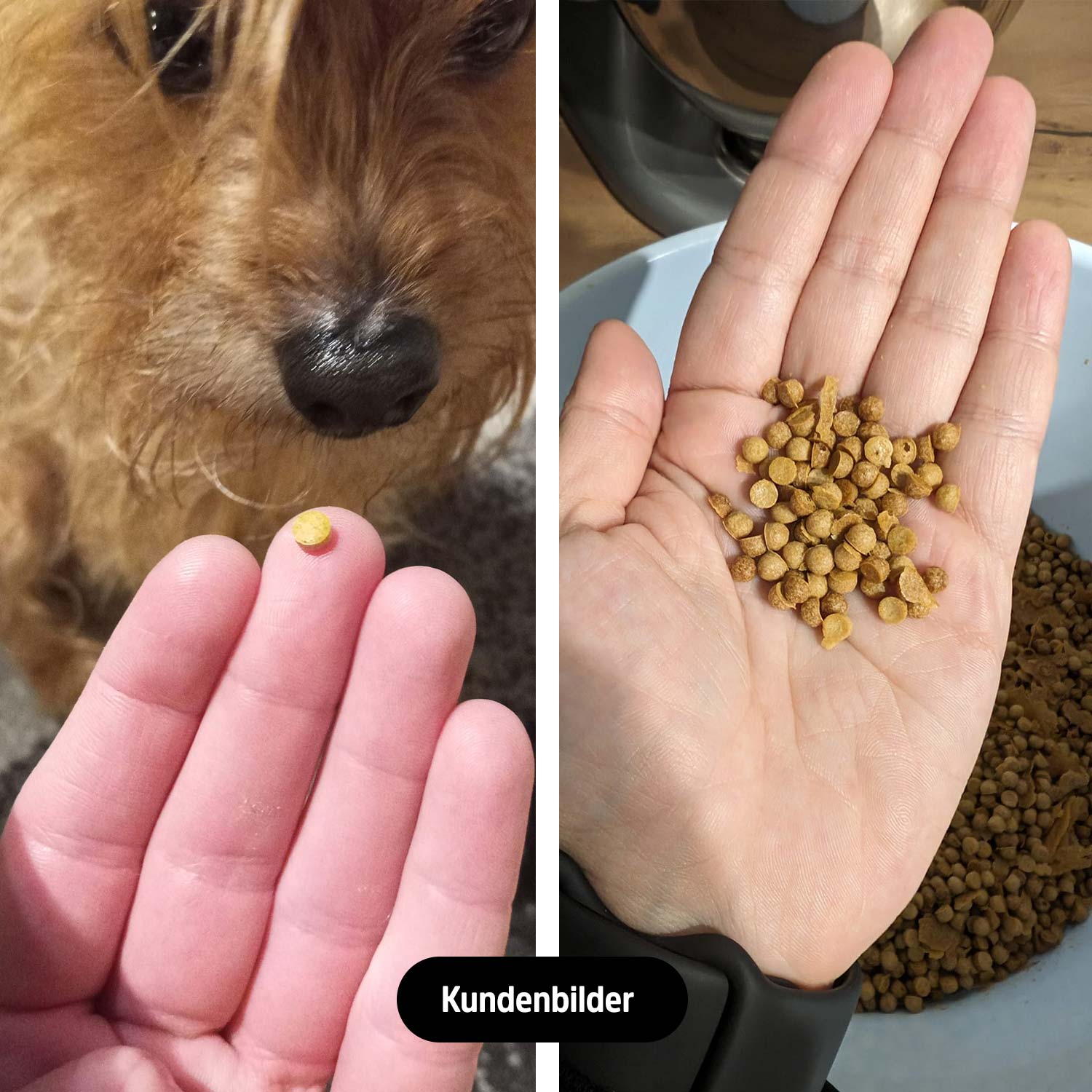 Hemispherical baking molds