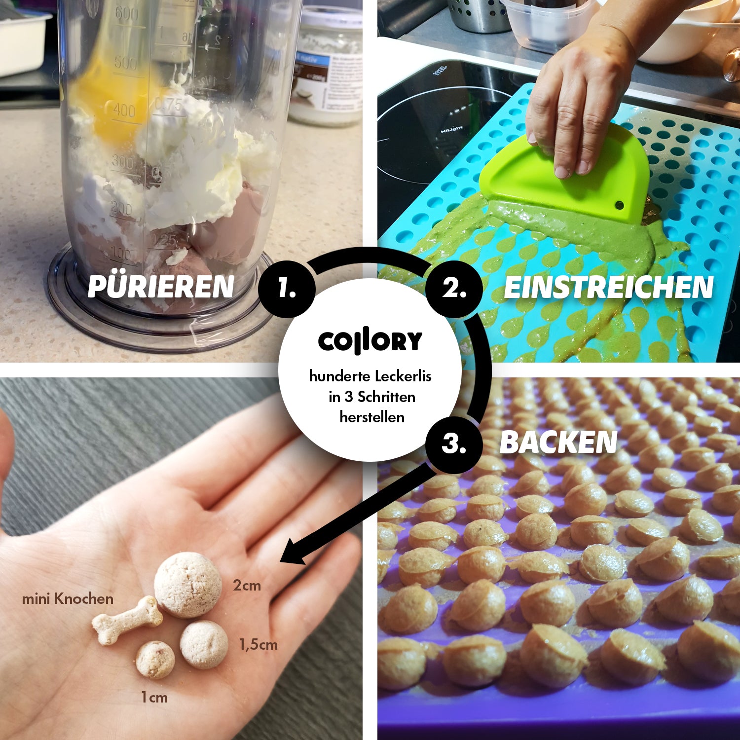 Collory Backmatten Hundekekse Starter Paket (kleine/mittelgroße Hunde)