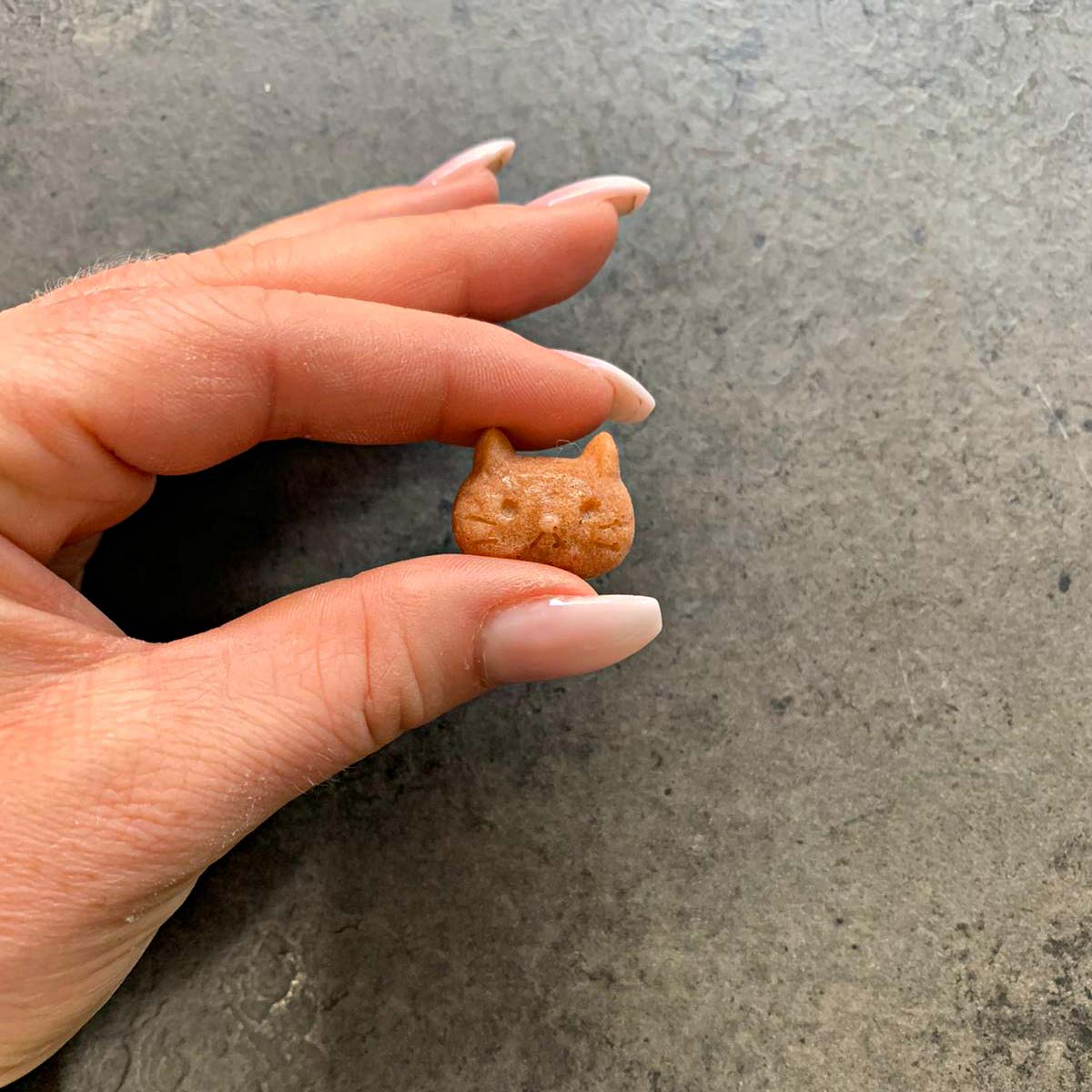 Happy pets baking pan