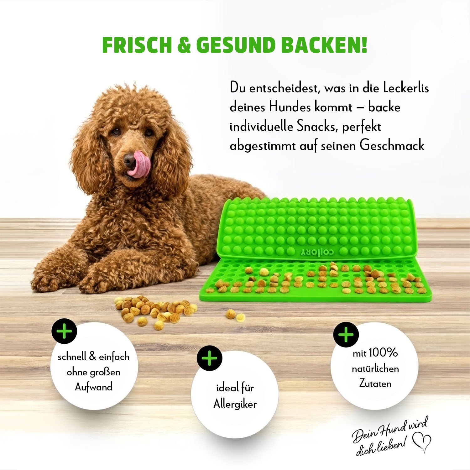 Collory Backmatten Hundekekse Starter Paket (kleine/mittelgroße Hunde)