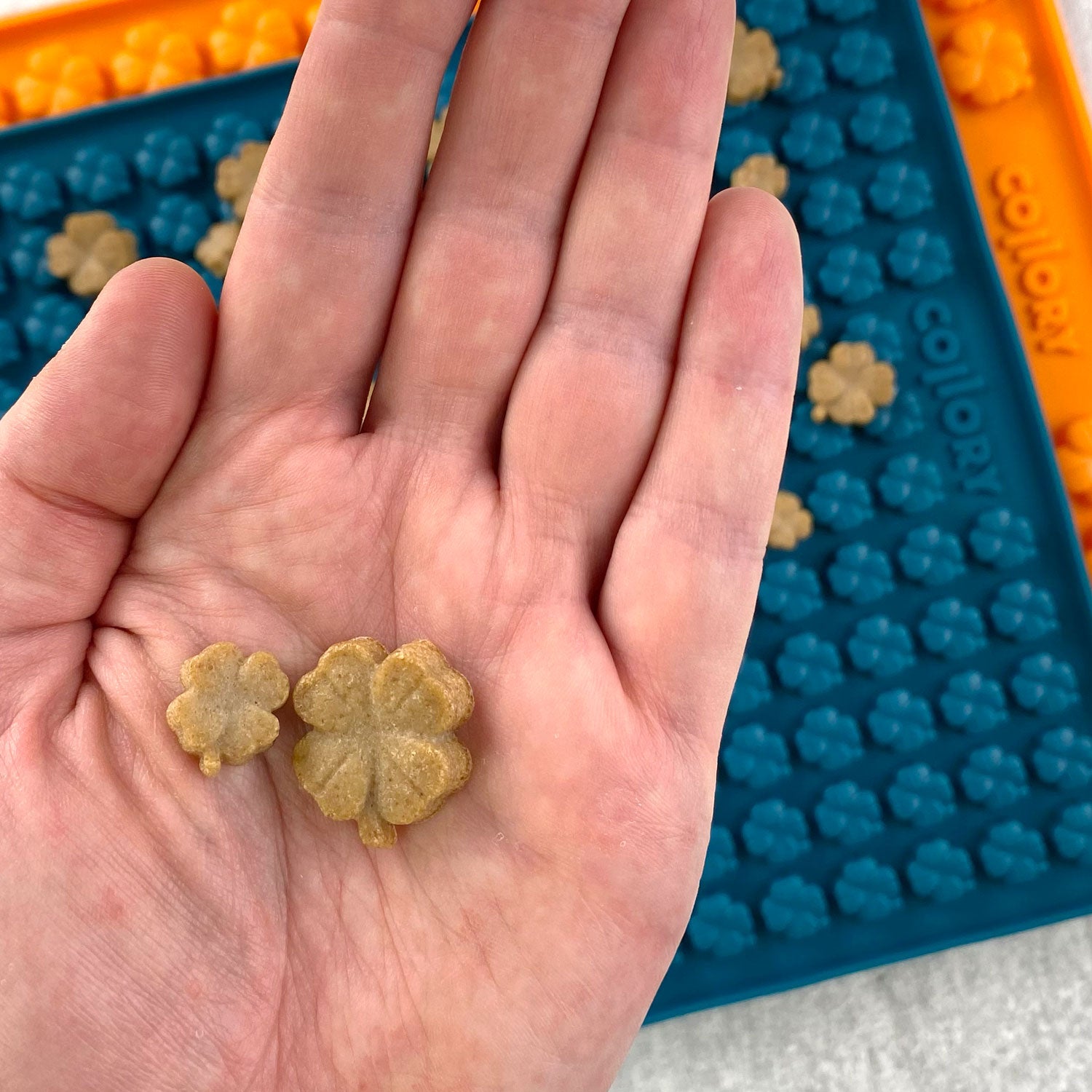 Collory Backmatten für Hundeleckerlis in Kleeblattform