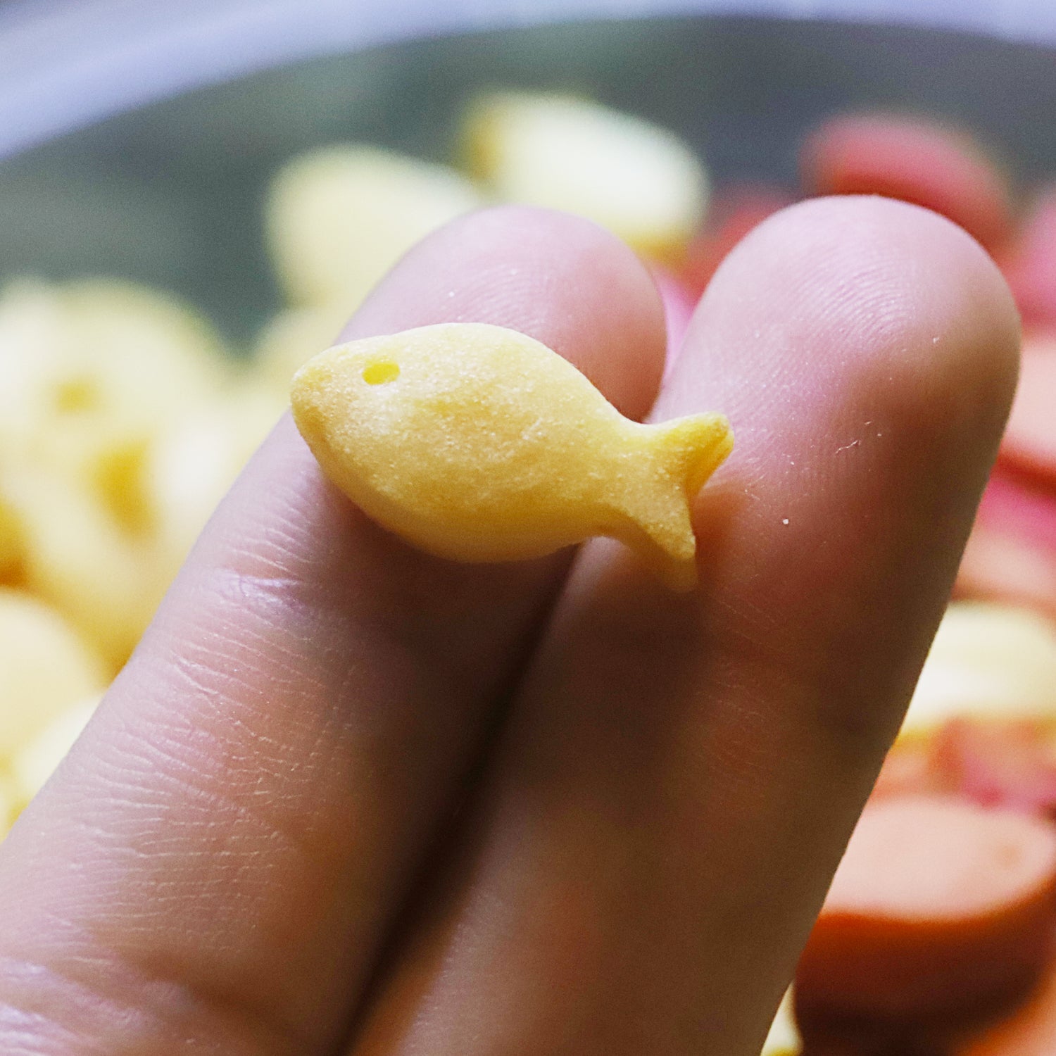 Collory Backmatten für Hundeleckerlis in Fischform