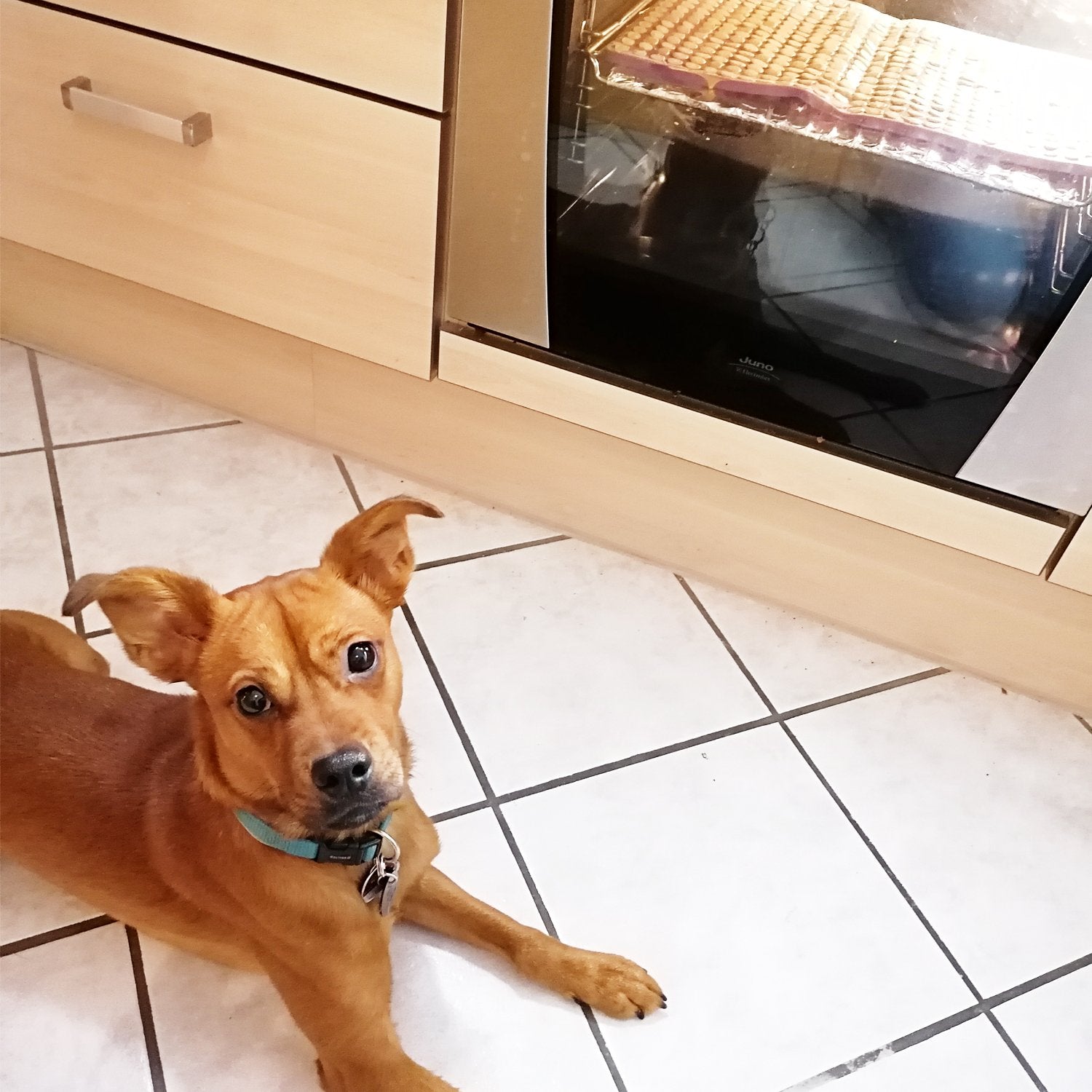 Hemispherical baking molds